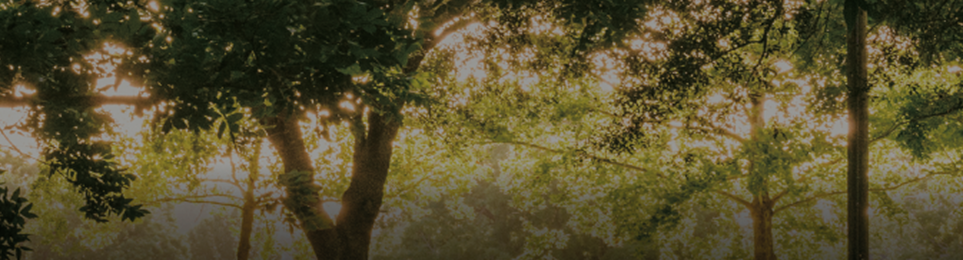 도심 속 풍부한 자연환경